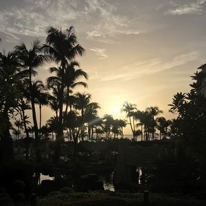 Meet your Posher, Jeff